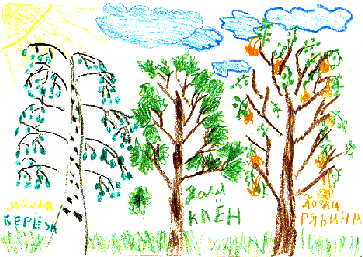 гілки разом