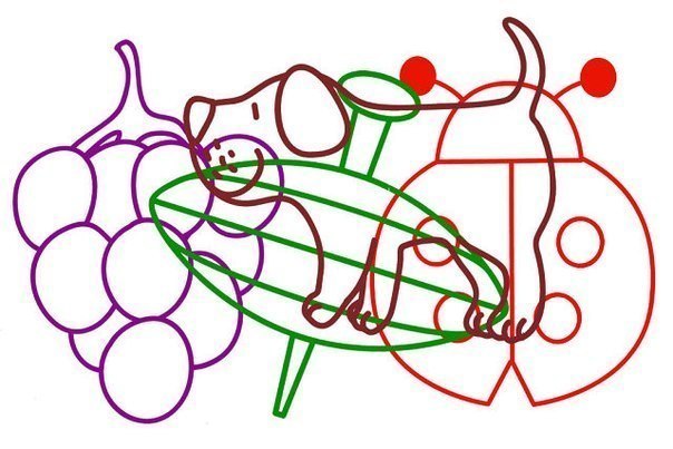 vgadaj po kontutu (7)