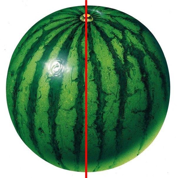 склади кавун2