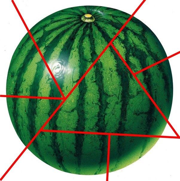 склади кавун3