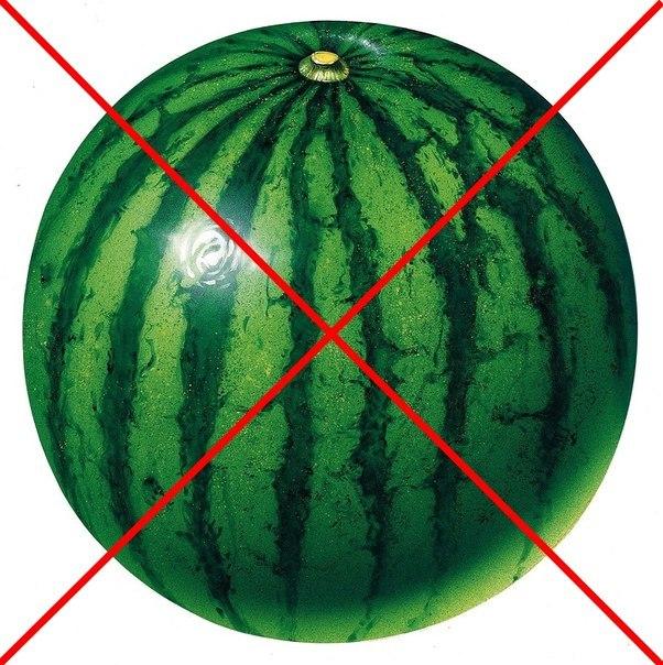 склади кавун5