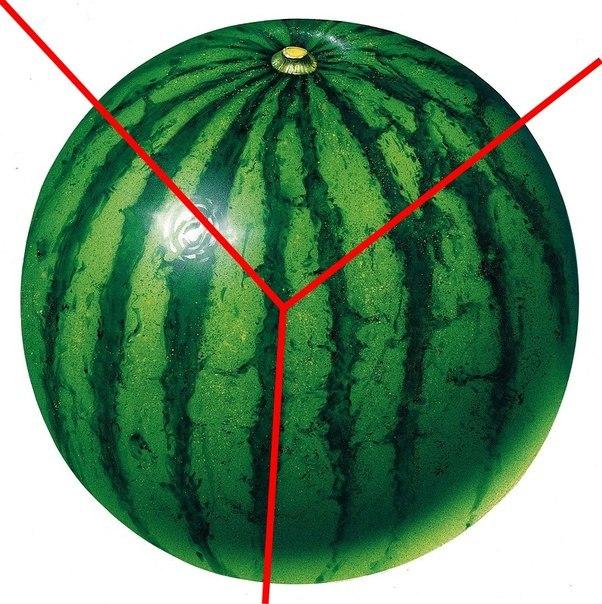 склади кавун6