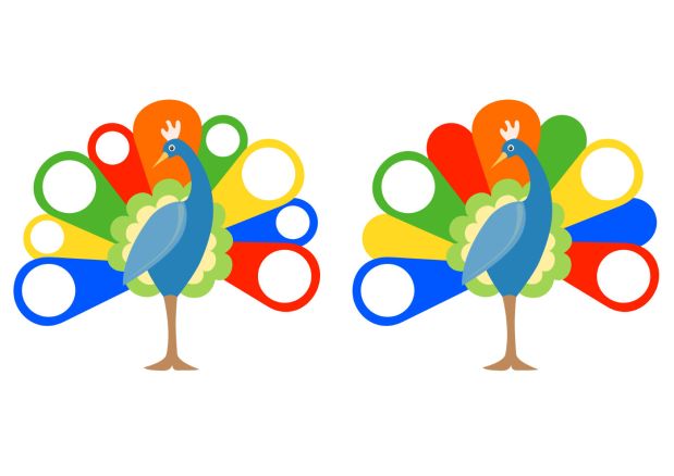 pticy-podborka-igr-i-uprajneniy-7