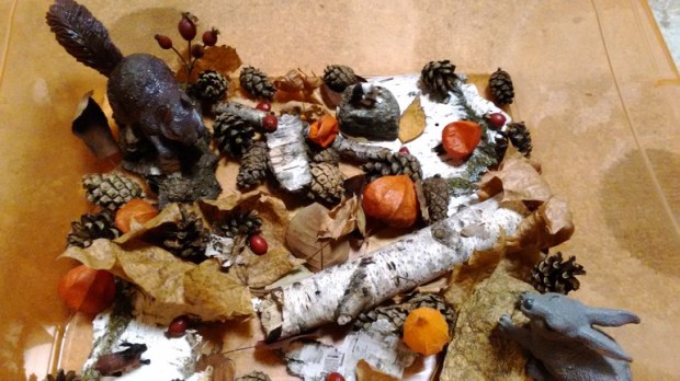 473af699e75106c38db599b108205481