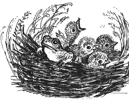 птичье гнездо