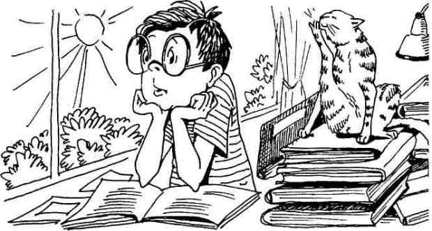 раннее развитие