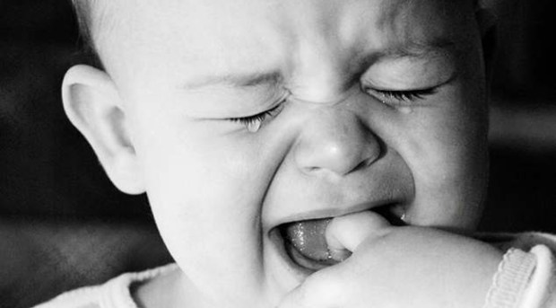 эксперимент учат материнству