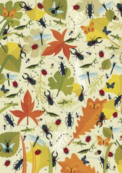 віммельбух