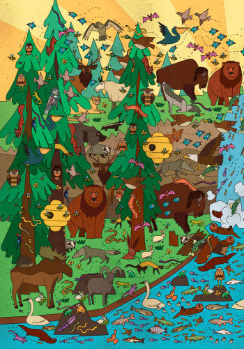 віммельбух тварини